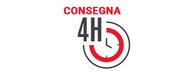 consegna-in-24ore